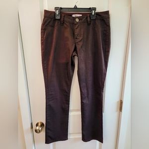 Jennifer Lopez Pants